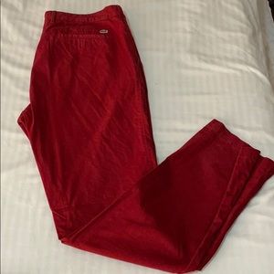 Maroon Lacoste pants